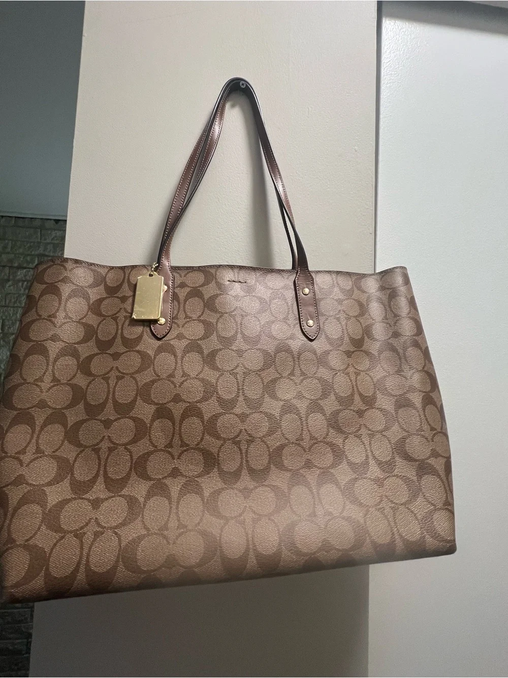 Coach Signature Canvas Tote in Brown